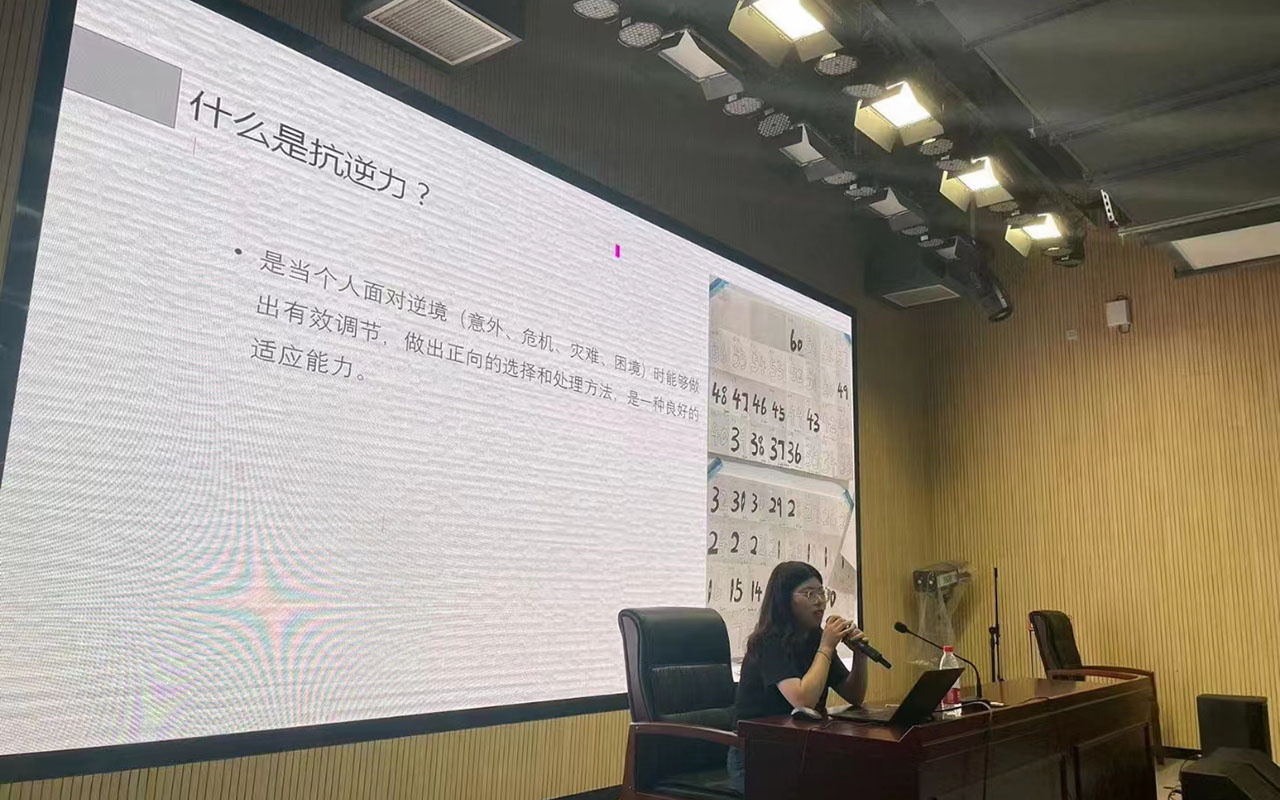 桥西董玉娣中学